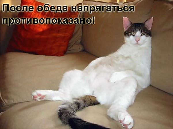 ������� ����