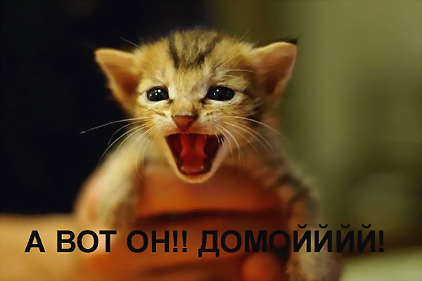 ������� ����