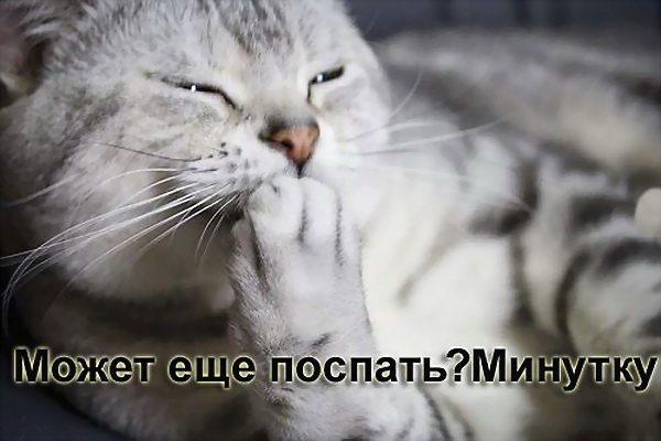 ������� ����