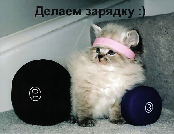 ������� ����