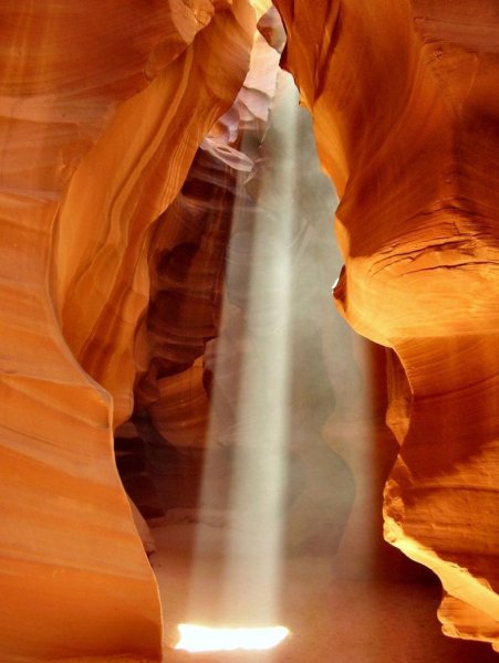 Лучшие фотографии 2007 года по версии Wikimedia