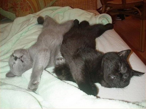 ���