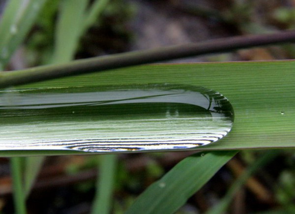 Капли воды