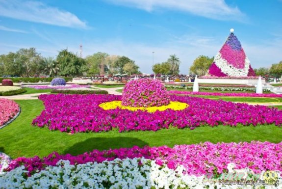 Dubai Miracle Garden – открылся самый большой в мире парк цветов
