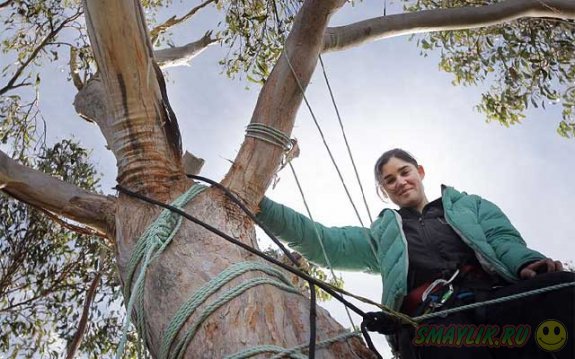 В Австралии общественной активистке пришлось впервые за 15 месяцев спуститься с дерева