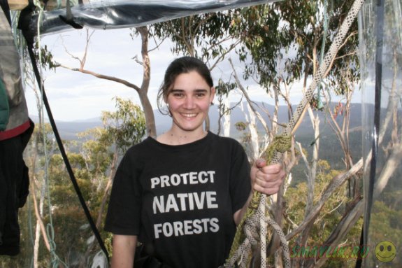 В Австралии общественной активистке пришлось впервые за 15 месяцев спуститься с дерева