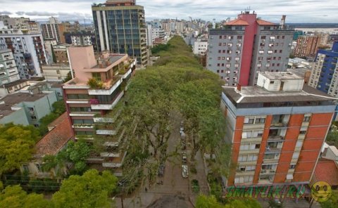 Rui Goncalo de Carvalho - самая красивая улица в мире
