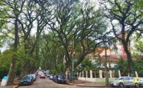 Rui Goncalo de Carvalho - самая красивая улица в мире