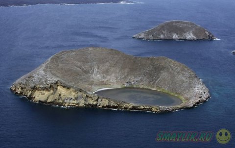 Уникальная жизнь Национального парка Галапагосских островов