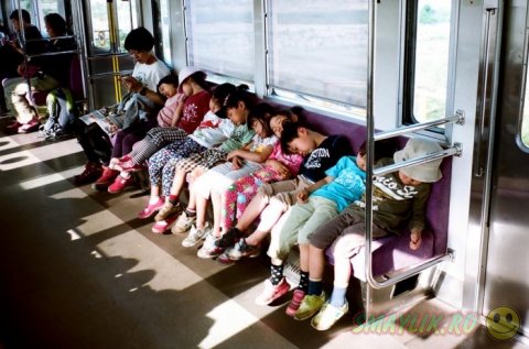 Яркие кадры из будней  общественного транспорта