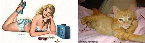 Забавные фотографии кошек и девушек в стиле пинап