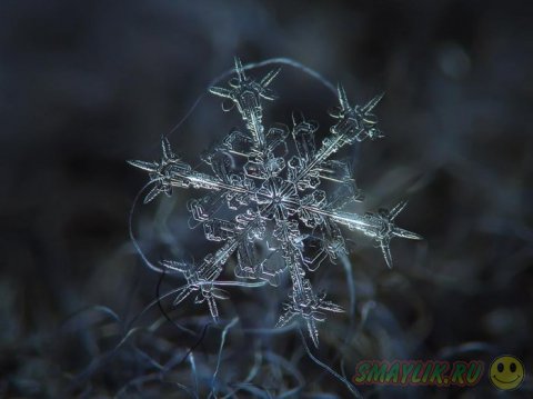Снежинки от Алексея Клятова 