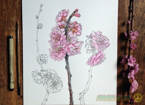 Весенние цветы в рисунках художника