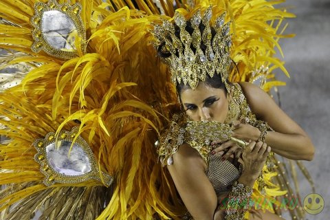 Карнавальные шествияи в  Бразилии 