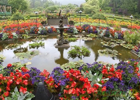 Самые красивые цветочные сады и парки  