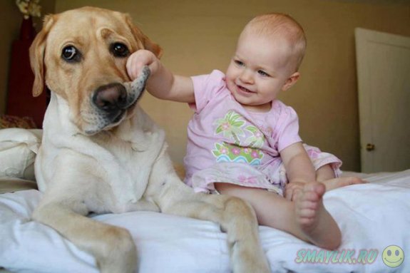 Собаки могут быть хорошими друзьями  детям 