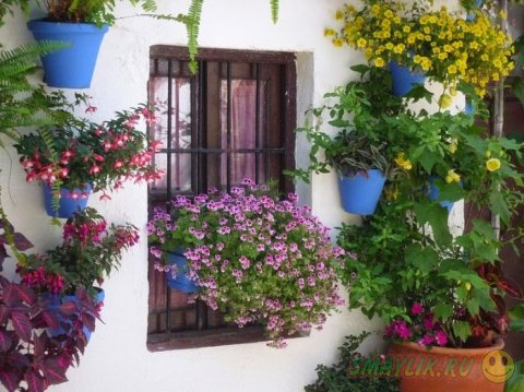 Самый красивый цветочный дворик в испанском городе Кордове