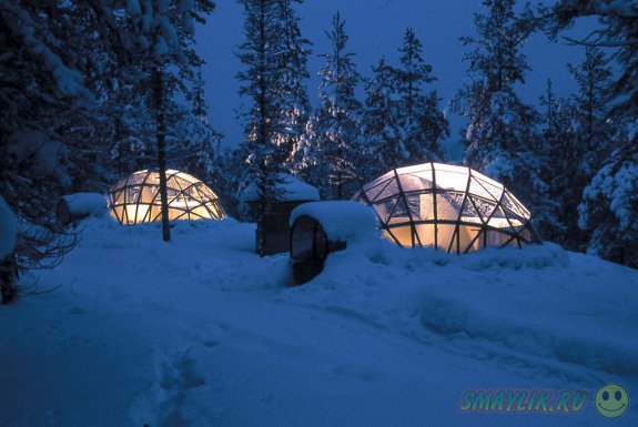 Уютные иглы в зимнем лесу Финляндии