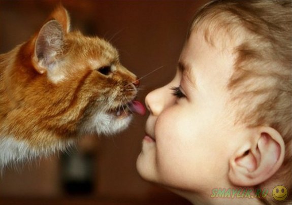 Коты - самые заботливые животные для детей