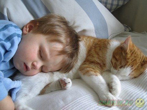 Коты могут быть самыми заботливыми животными для малыша