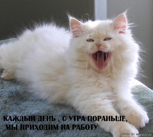 Картинки, фото и картинки прикольные про работу