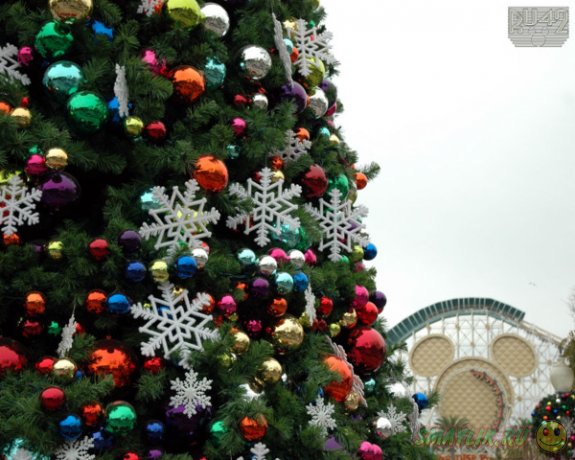 В Италии новогодние деревья можно  вернуть в магазин