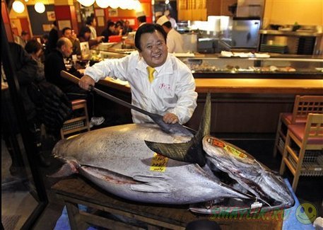 В Токио  тунец-рекордсмен ушел с молотка почти за 2 млн долларов