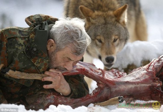 Бывший немецкий десантник создал уникальный Парк волков