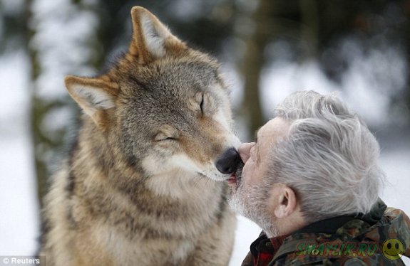 Бывший немецкий десантник создал уникальный Парк волков
