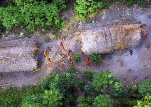В Колумбии племена Пассе и Юри скрывались в джунглях более века