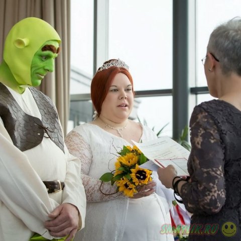 Свадебная церемония в стиле  мультфильма о зеленом огре «Шрекe»