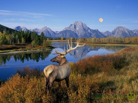 Чарующие краски Grand Teton National Park 