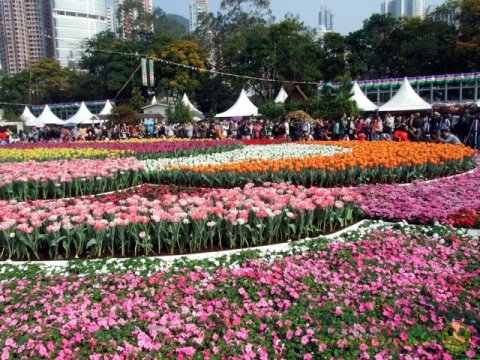 Выставка цветов в Гонконге
