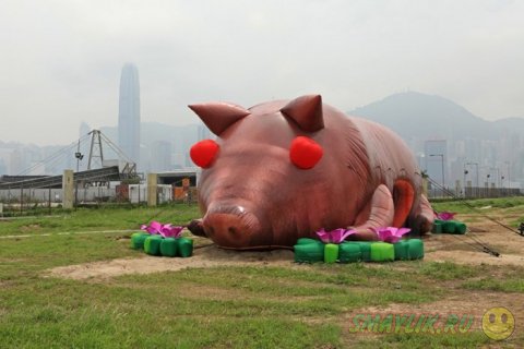 В Гонконге открылась выставка надувных скульптур