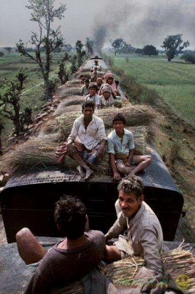 Страничка в Индию от Стива Маккерри