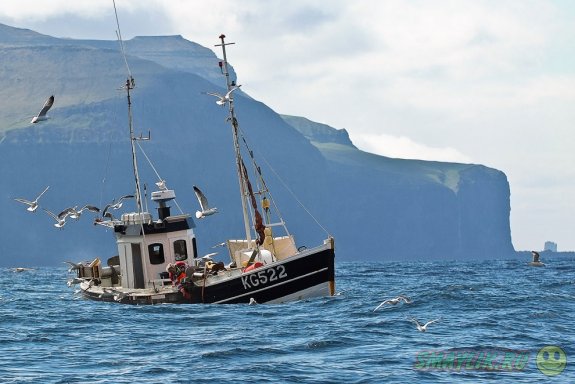 Уникальный мир Фарерских островов