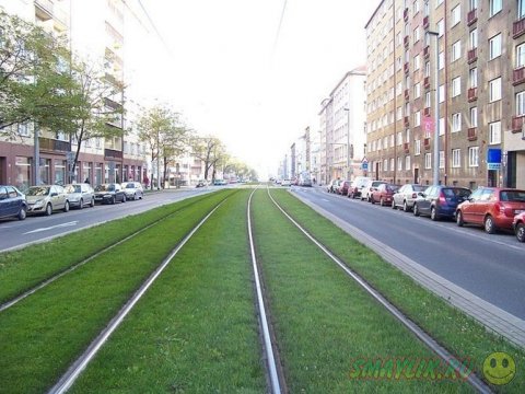  «Зеленые» трамвайные пути в  городах Европы 