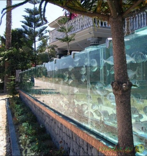 Житель турецкого города Измир установил возле своего дома 50-метровый аквариум