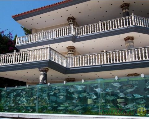 Житель турецкого города Измир установил возле своего дома 50-метровый аквариум