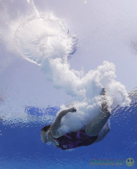 Яркая подборка фотографий с Чемпионата мира по водным видам спорта 2013