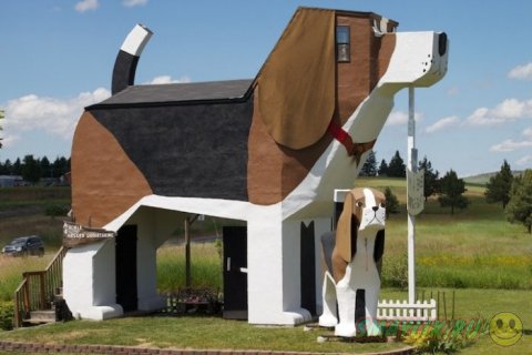 Оригинальный отель в форме собаки