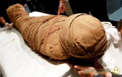Во Франции мальчик обнаружил на чердаке сундук с мумией