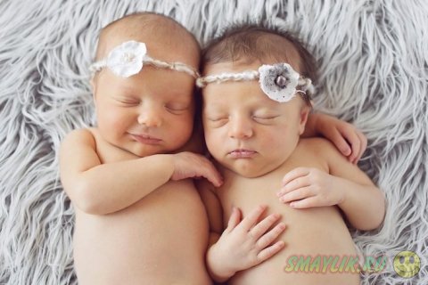 Спящие малыши на снимках от Алисии Гулд 