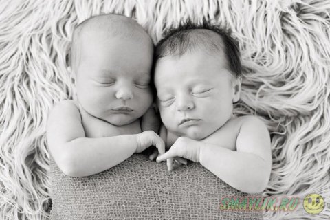 Спящие малыши на снимках от Алисии Гулд 