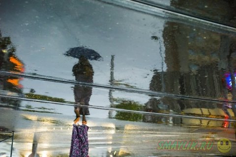 Картины дождливых отражений 