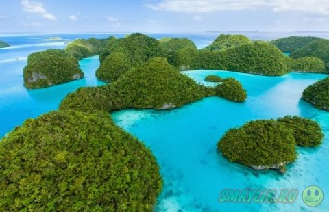 Уникальная природа архипелага Палау 