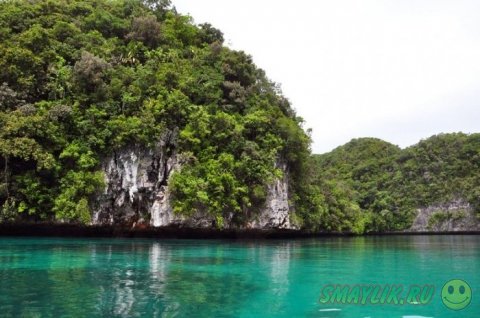 Уникальная природа архипелага Палау 