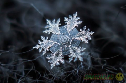 Снежинки от Алексея Клятова 