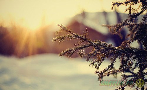 Зима - особенное время  года полное чудес