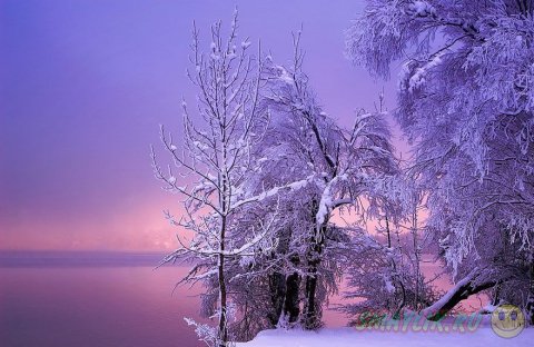 Чарующе красивые зимние пейзажи